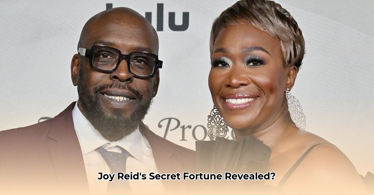joy-ann-reid-net-worth
